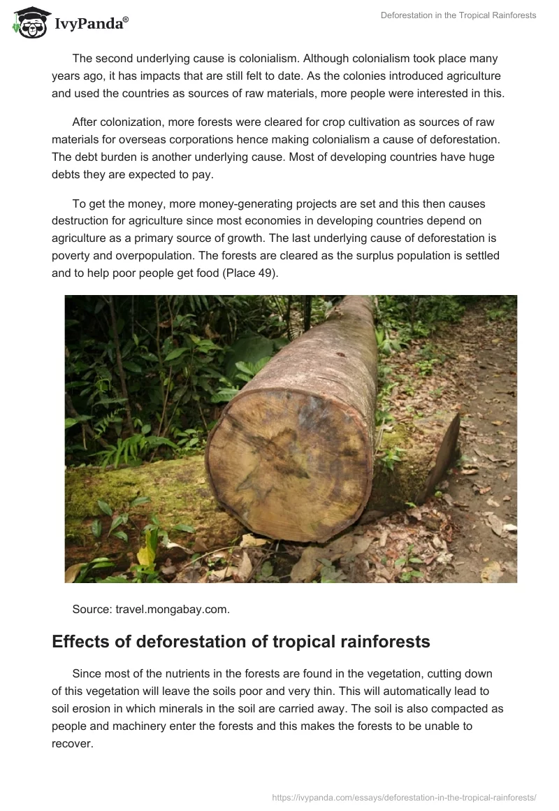 Deforestation in the Tropical Rainforests. Page 5