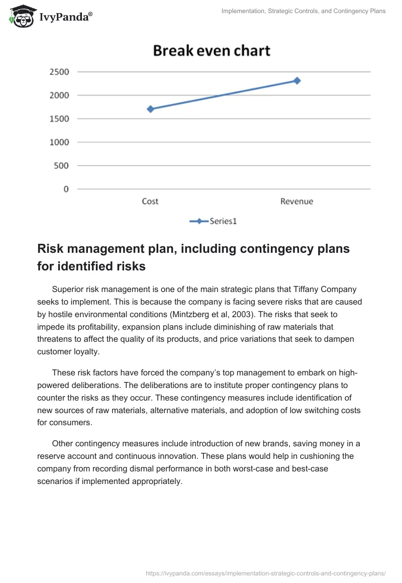 Implementation, Strategic Controls, and Contingency Plans. Page 5