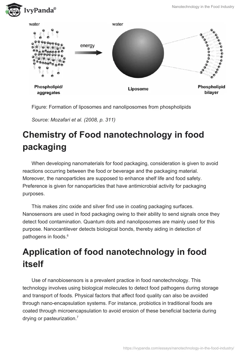 Nanotechnology in the Food Industry. Page 3
