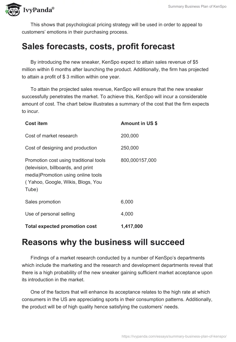 Summary Business Plan of KenSpo. Page 4
