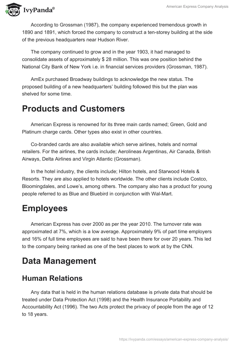 American Express Company Analysis. Page 2