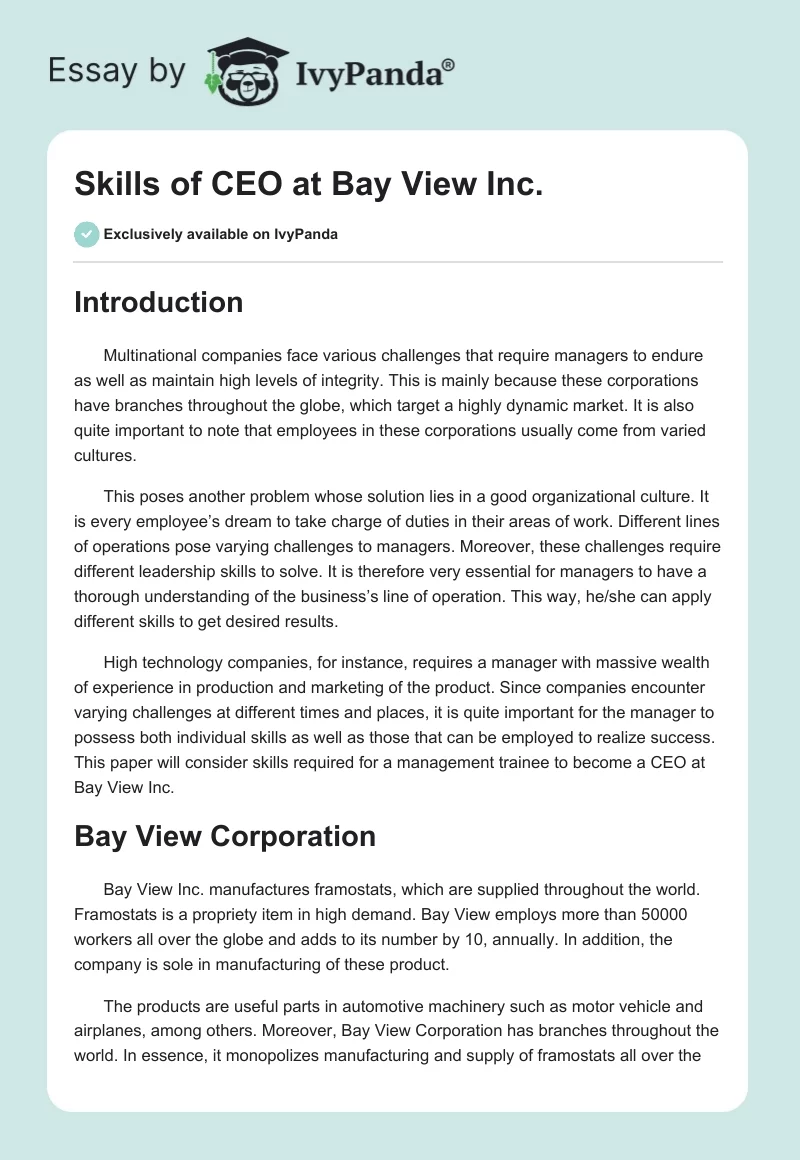 Skills of CEO at Bay View Inc.. Page 1