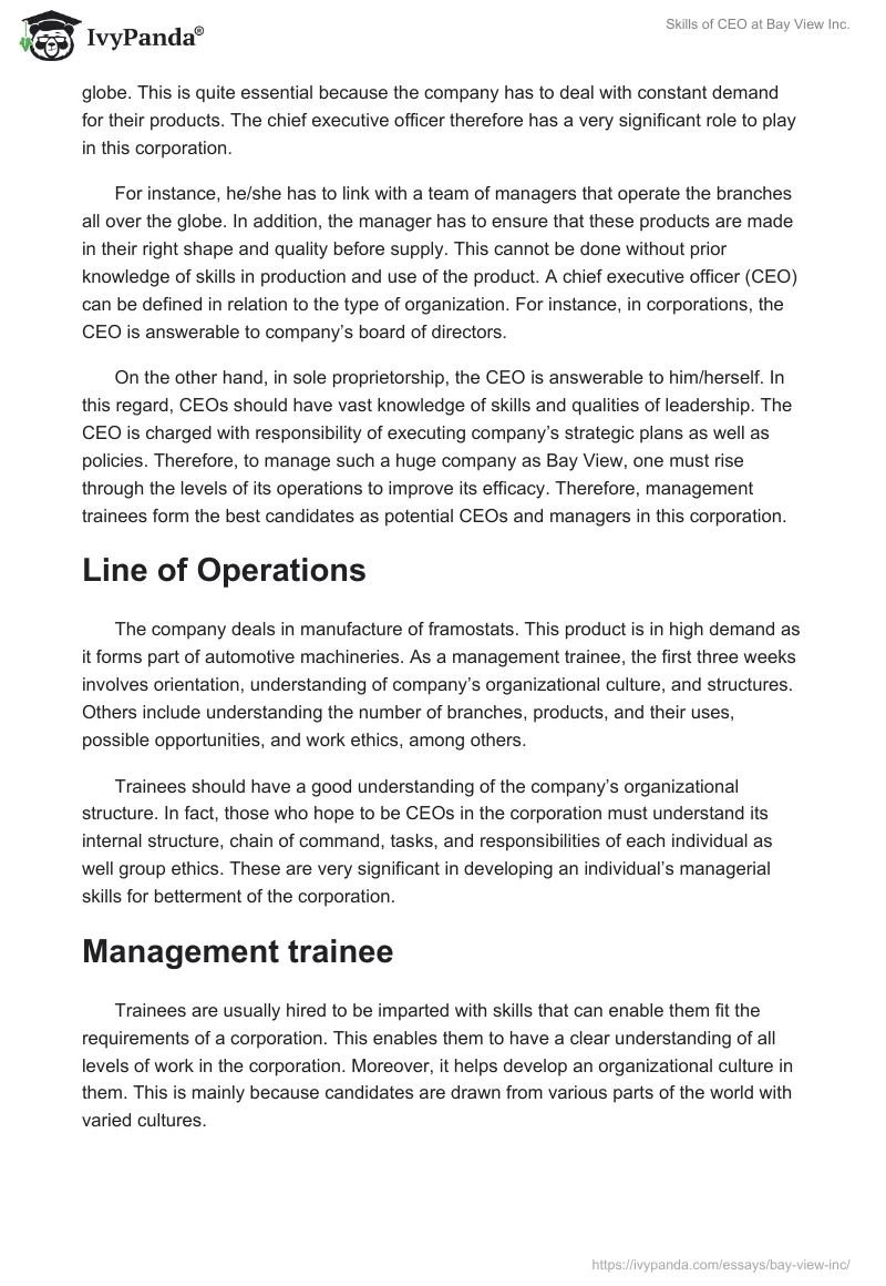 Skills of CEO at Bay View Inc.. Page 2