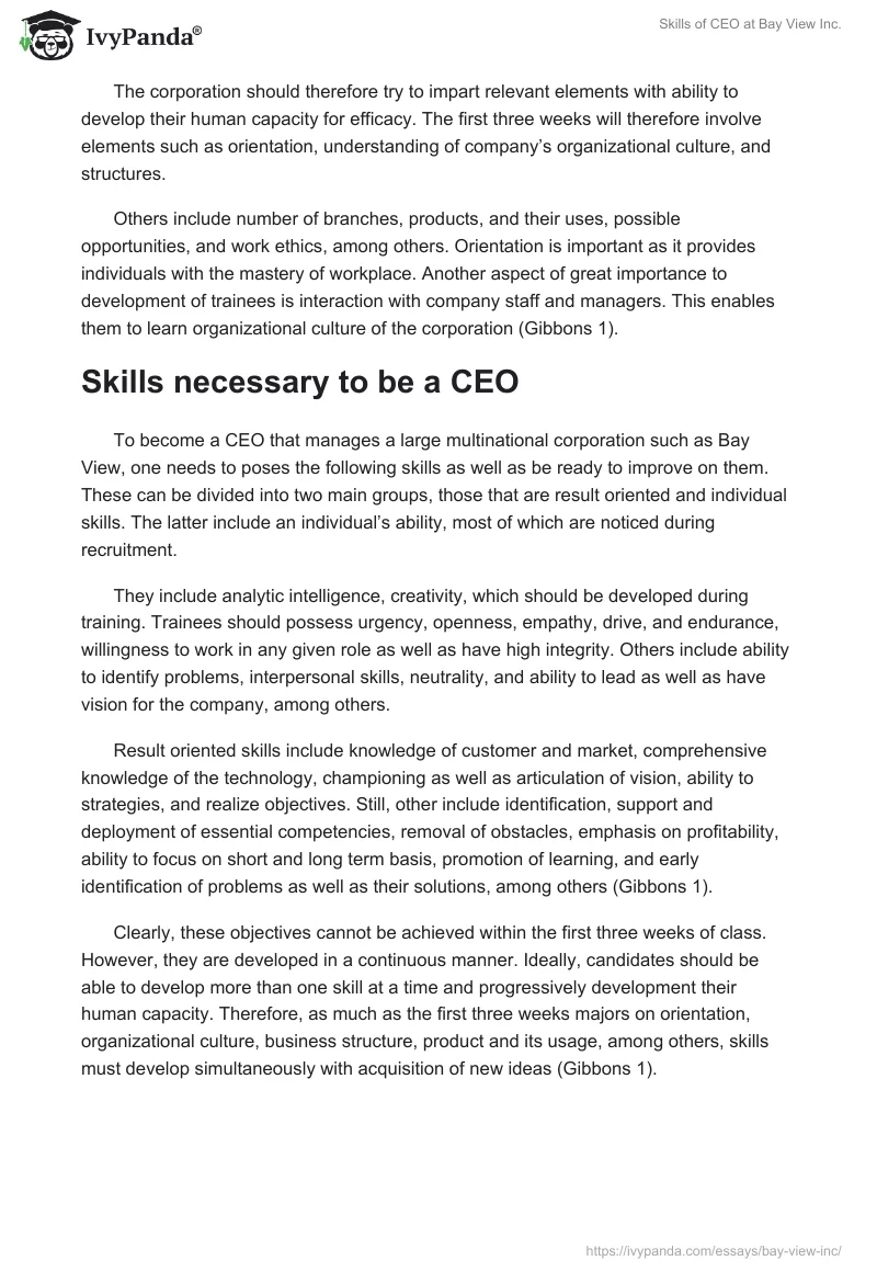 Skills of CEO at Bay View Inc.. Page 3