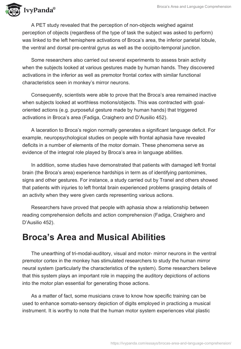 Broca’s Area and Language Comprehension. Page 3