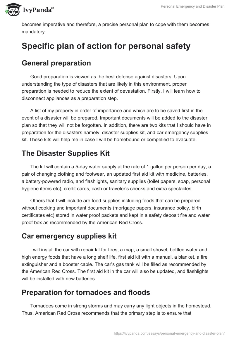 Personal Emergency and Disaster Plan. Page 3