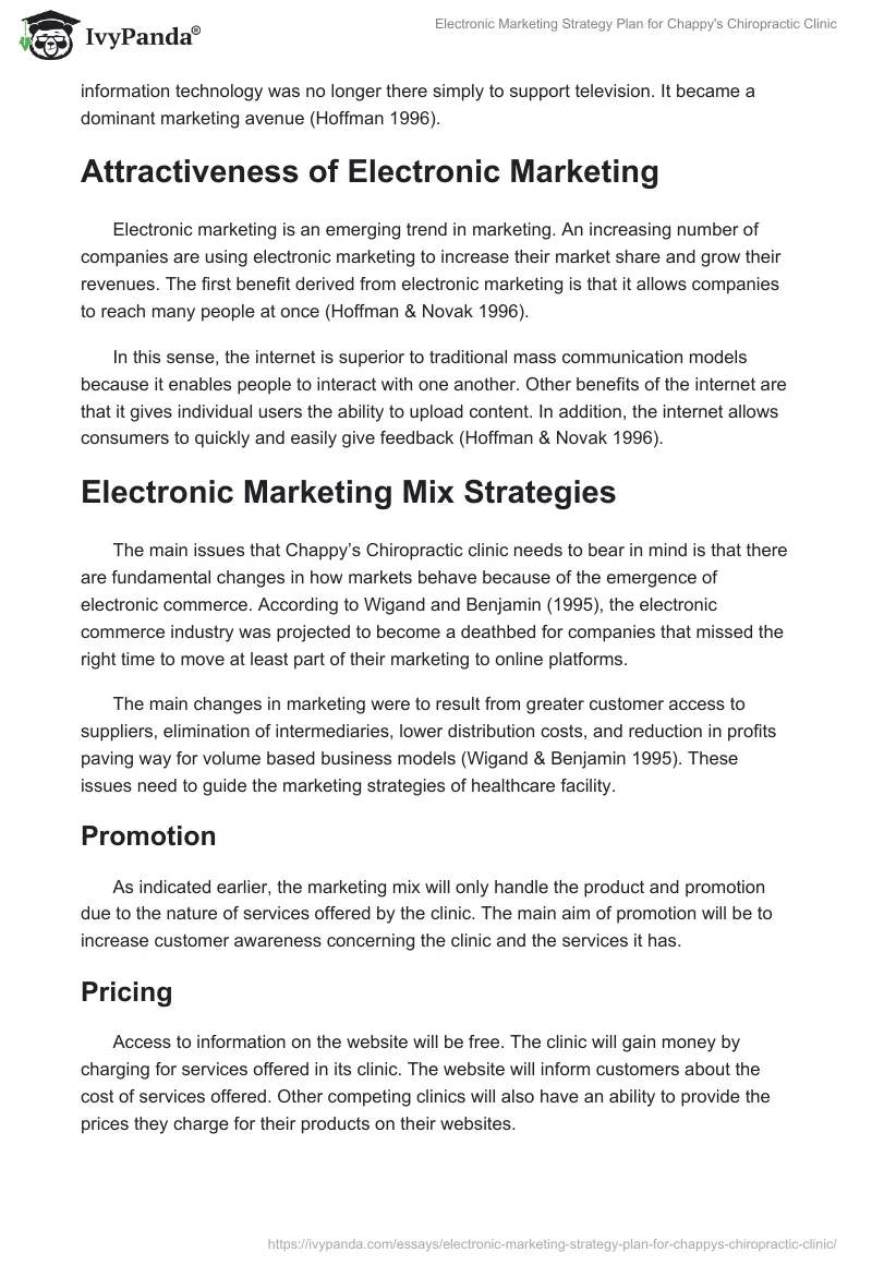Electronic Marketing Strategy Plan for Chappy's Chiropractic Clinic. Page 2