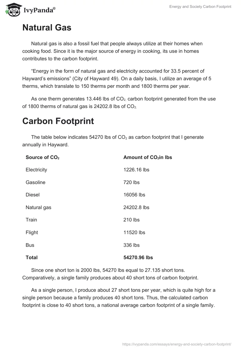 Energy and Society Carbon Footprint. Page 4