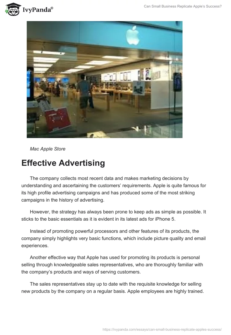 Can Small Business Replicate Apple’s Success?. Page 5