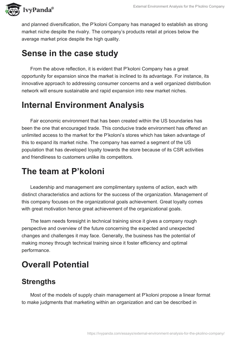 External Environment Analysis for the P’kolino Company. Page 2