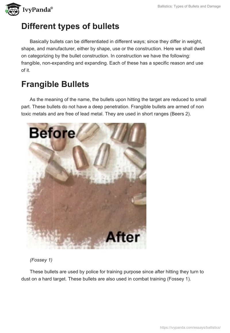 Ballistics: Types of Bullets and Damage. Page 2