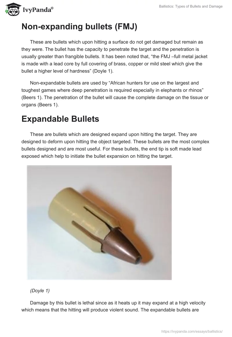 Ballistics: Types of Bullets and Damage. Page 3