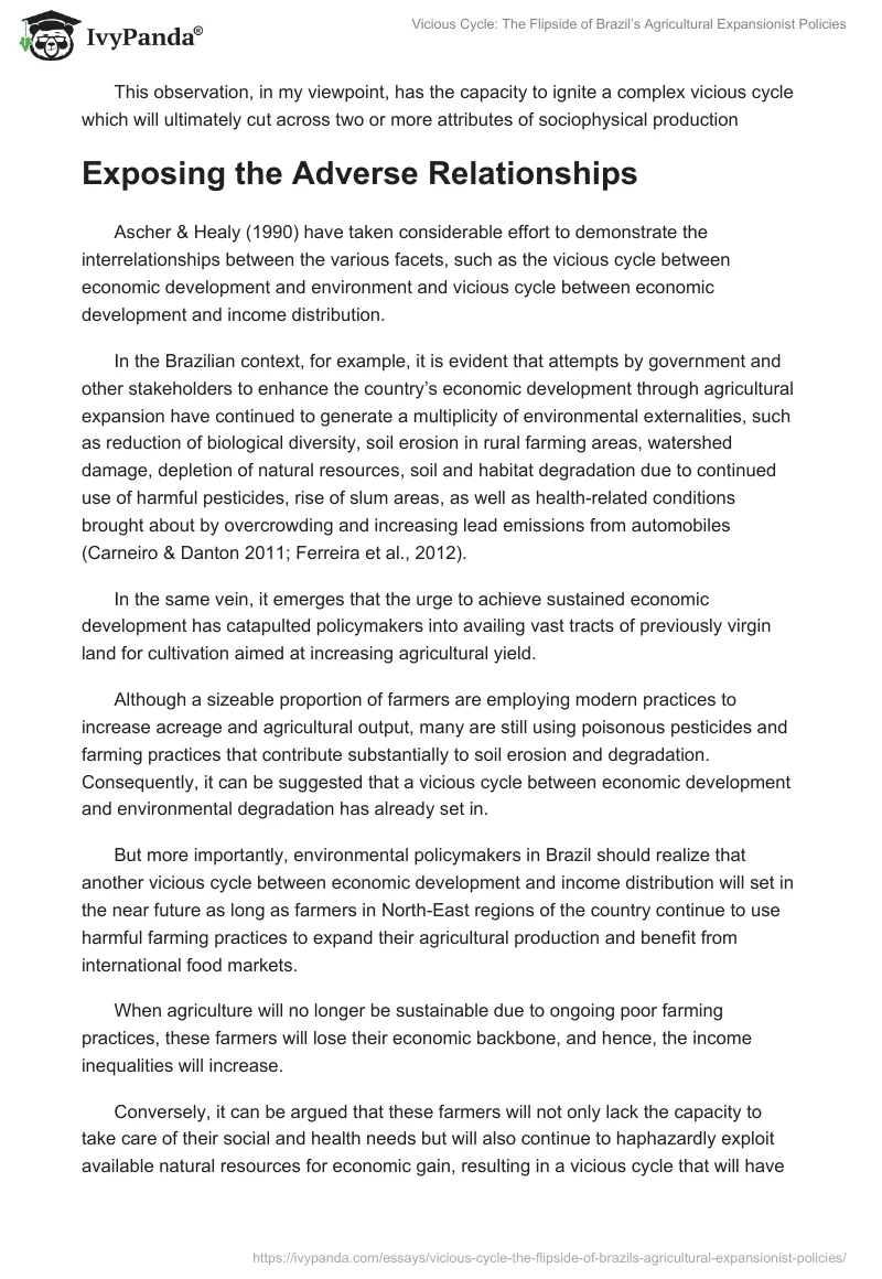 Vicious Cycle: The Flipside of Brazil’s Agricultural Expansionist Policies. Page 3