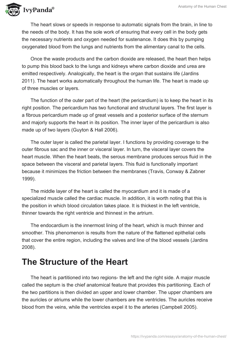Anatomy of the Human Chest. Page 2