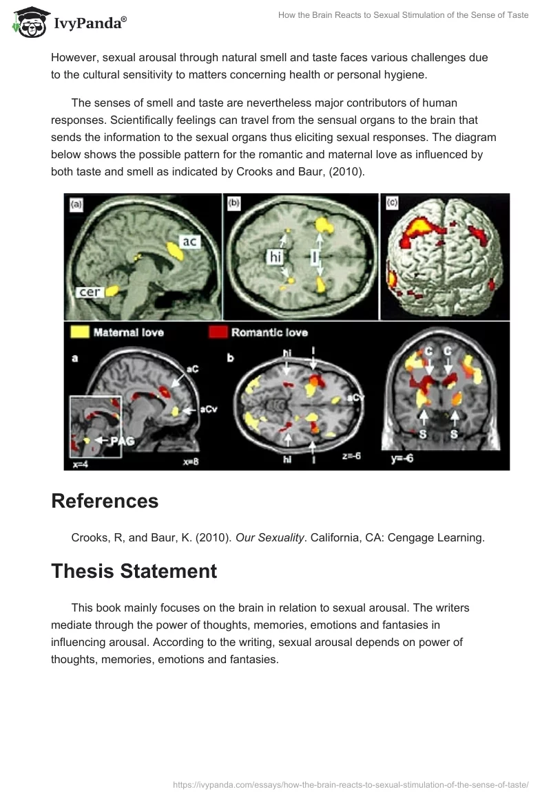 How the Brain Reacts to Sexual Stimulation of the Sense of Taste. Page 4