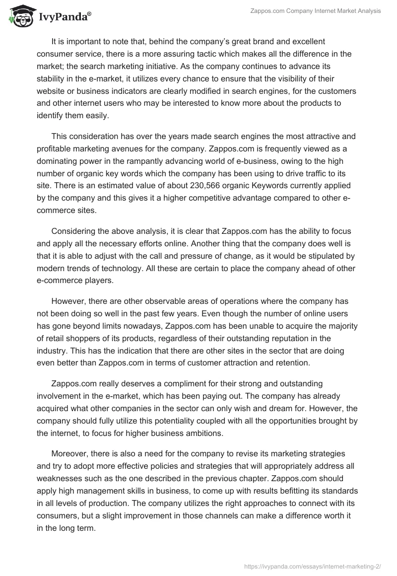 Zappos.com Company Internet Market Analysis. Page 3