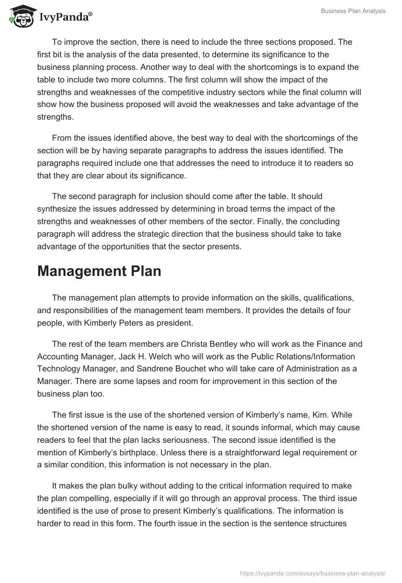 Business Plan Analysis. Page 3