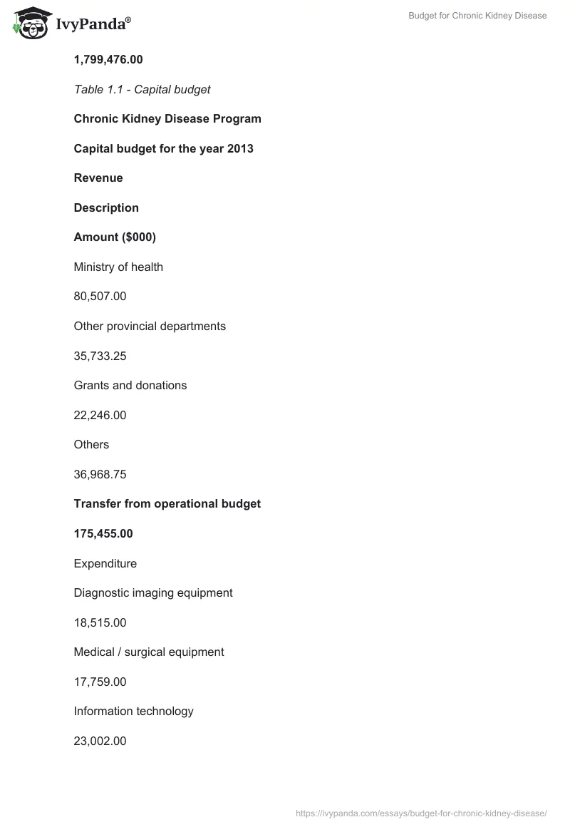 Budget for Chronic Kidney Disease. Page 3