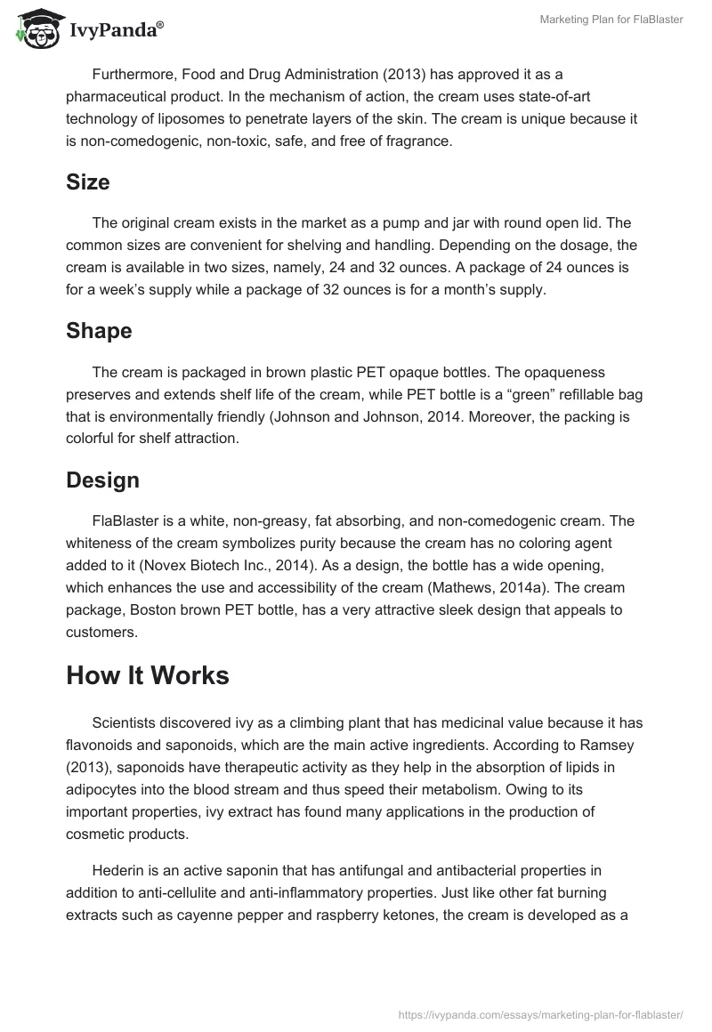 Marketing Plan for FlaBlaster. Page 2