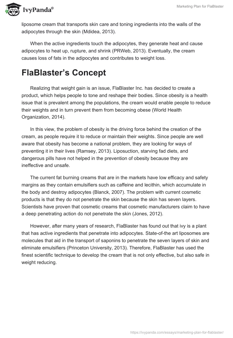 Marketing Plan for FlaBlaster. Page 3