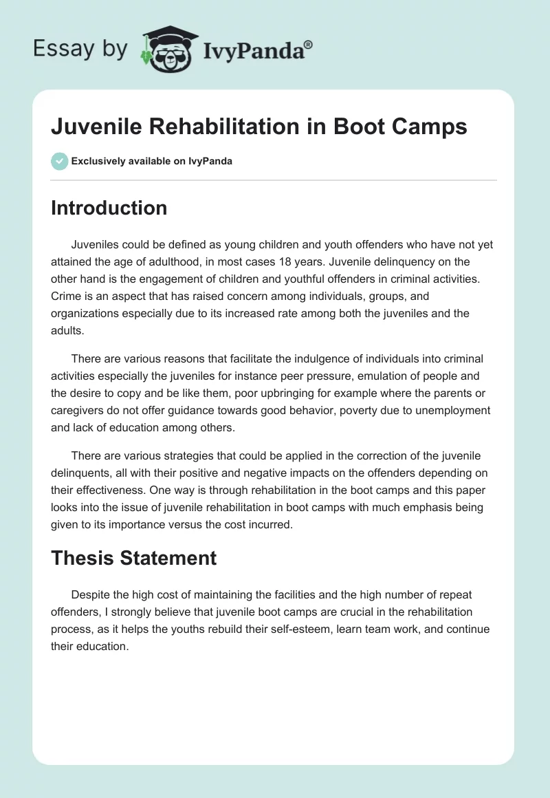 Juvenile Rehabilitation in Boot Camps. Page 1