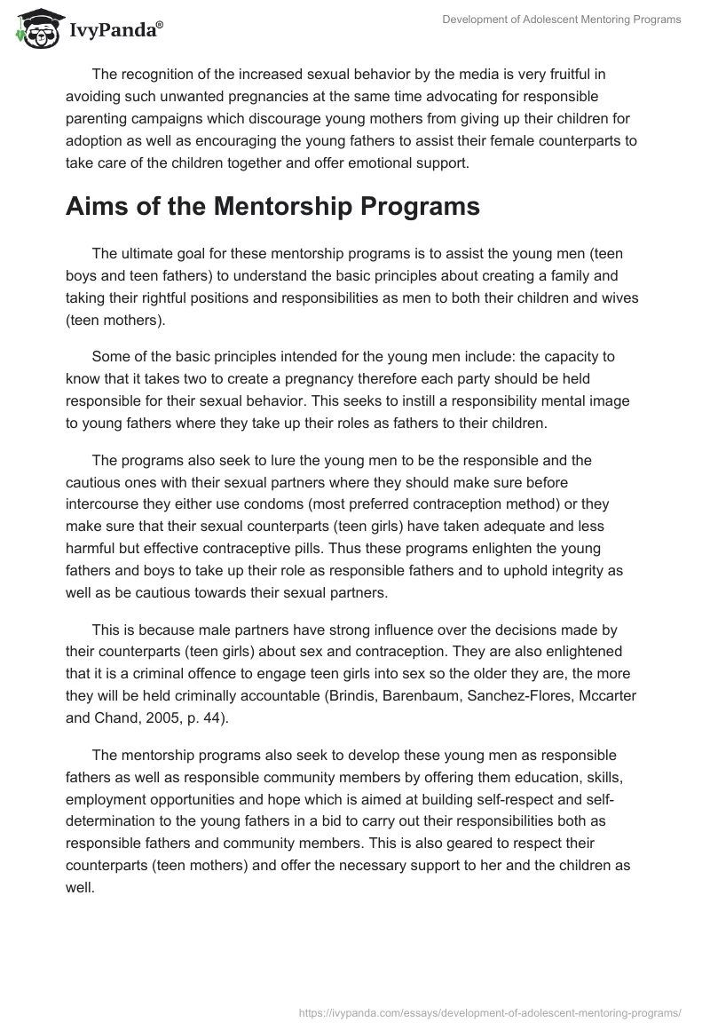 Development of Adolescent Mentoring Programs. Page 3
