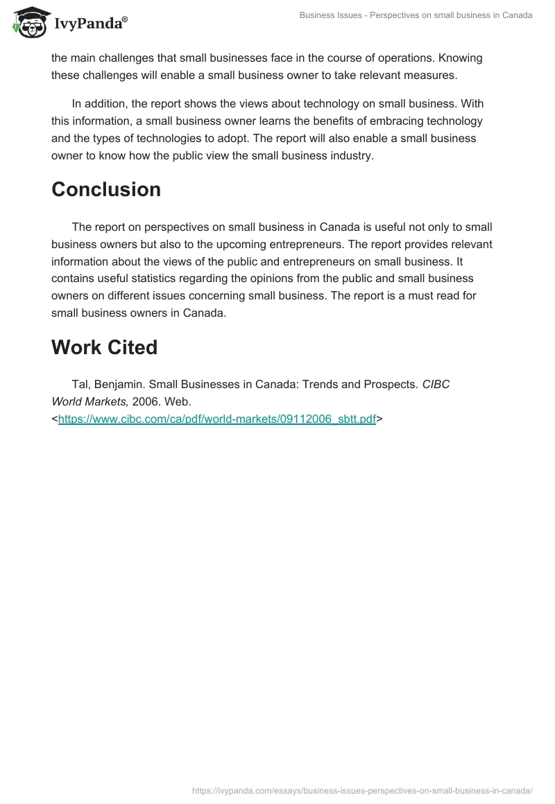Business Issues - Perspectives on small business in Canada. Page 3