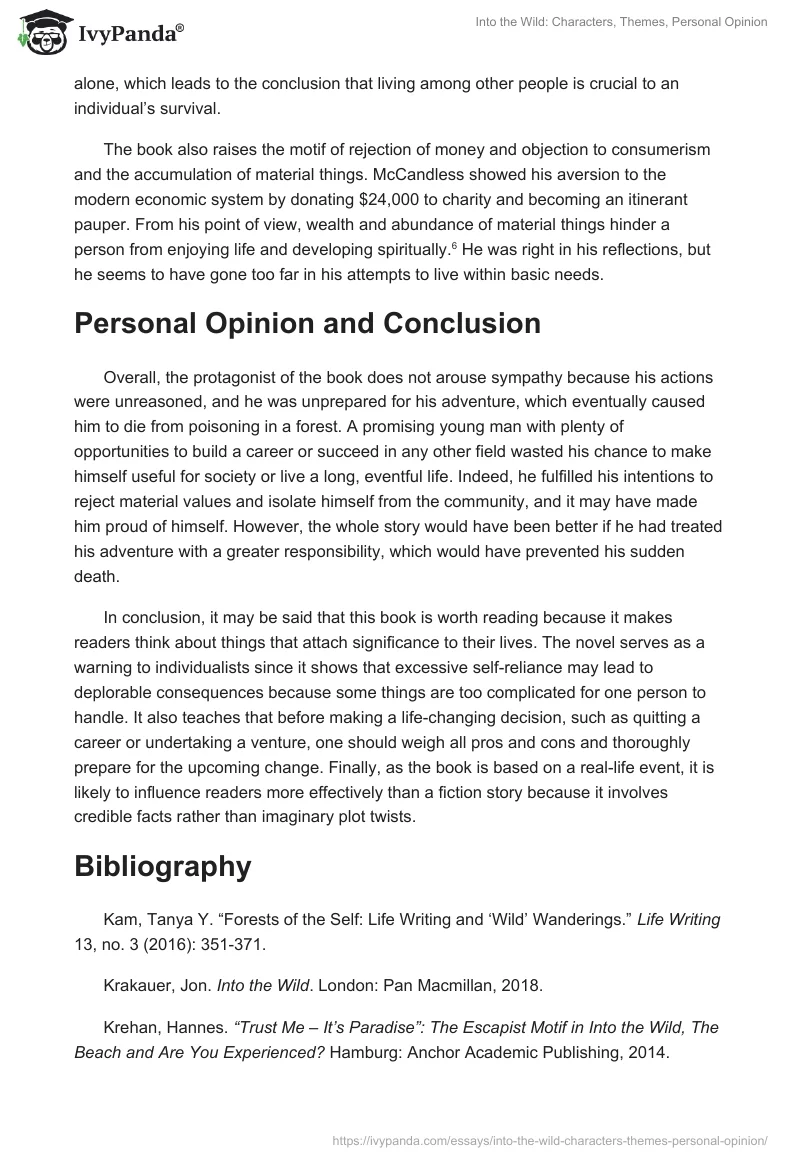 Into the Wild: Characters, Themes, Personal Opinion. Page 3