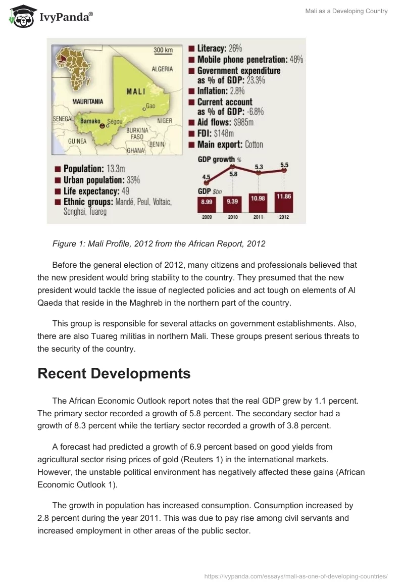 Mali as a Developing Country. Page 2
