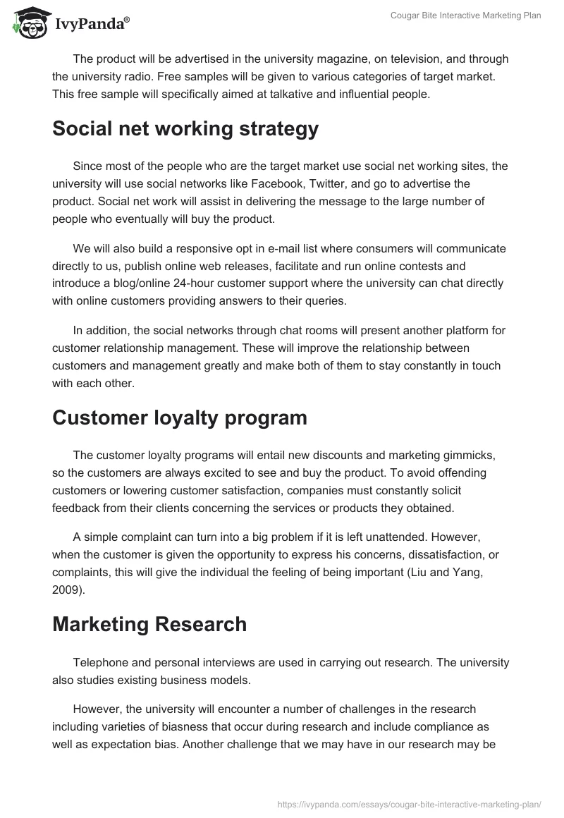 Cougar Bite Interactive Marketing Plan. Page 5