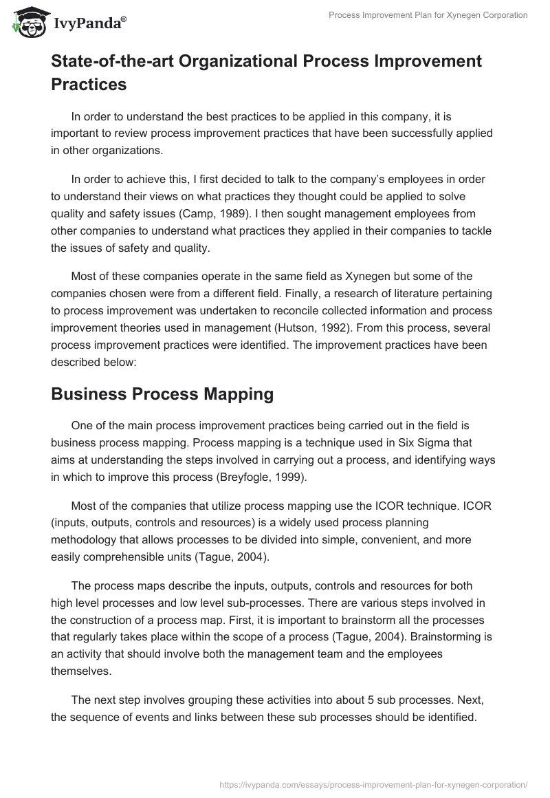 Process Improvement Plan for Xynegen Corporation. Page 2