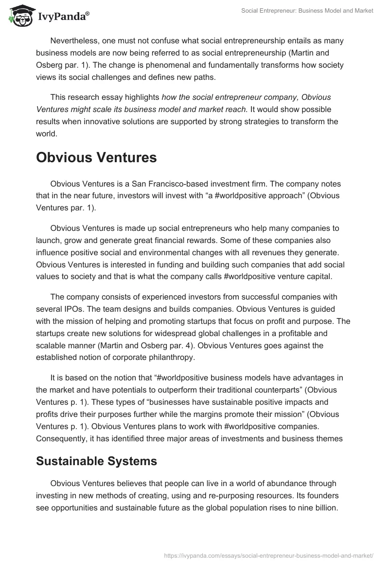 Social Entrepreneur: Business Model and Market. Page 2