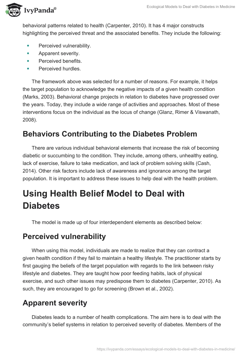 Ecological Models to Deal with Diabetes in Medicine. Page 2