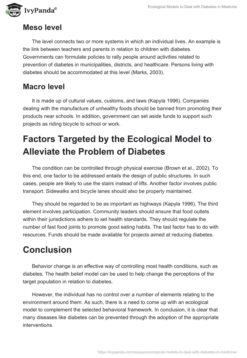 Ecological Models to Deal with Diabetes in Medicine. Page 4