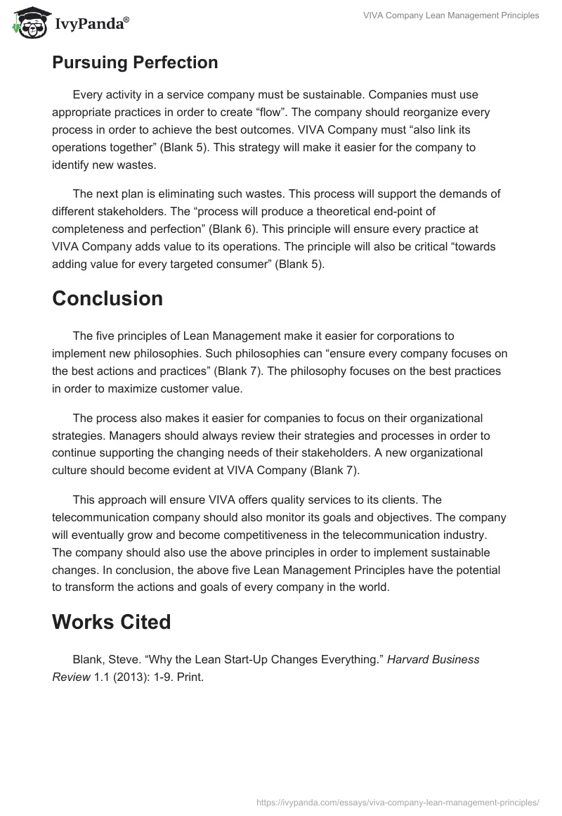 VIVA Company Lean Management Principles. Page 3
