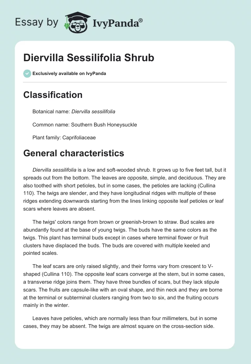 Diervilla Sessilifolia Shrub. Page 1