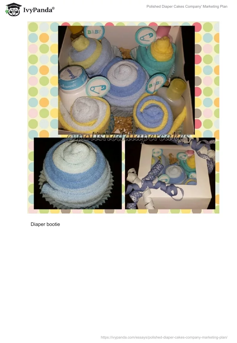 Polished Diaper Cakes Company' Marketing Plan. Page 3
