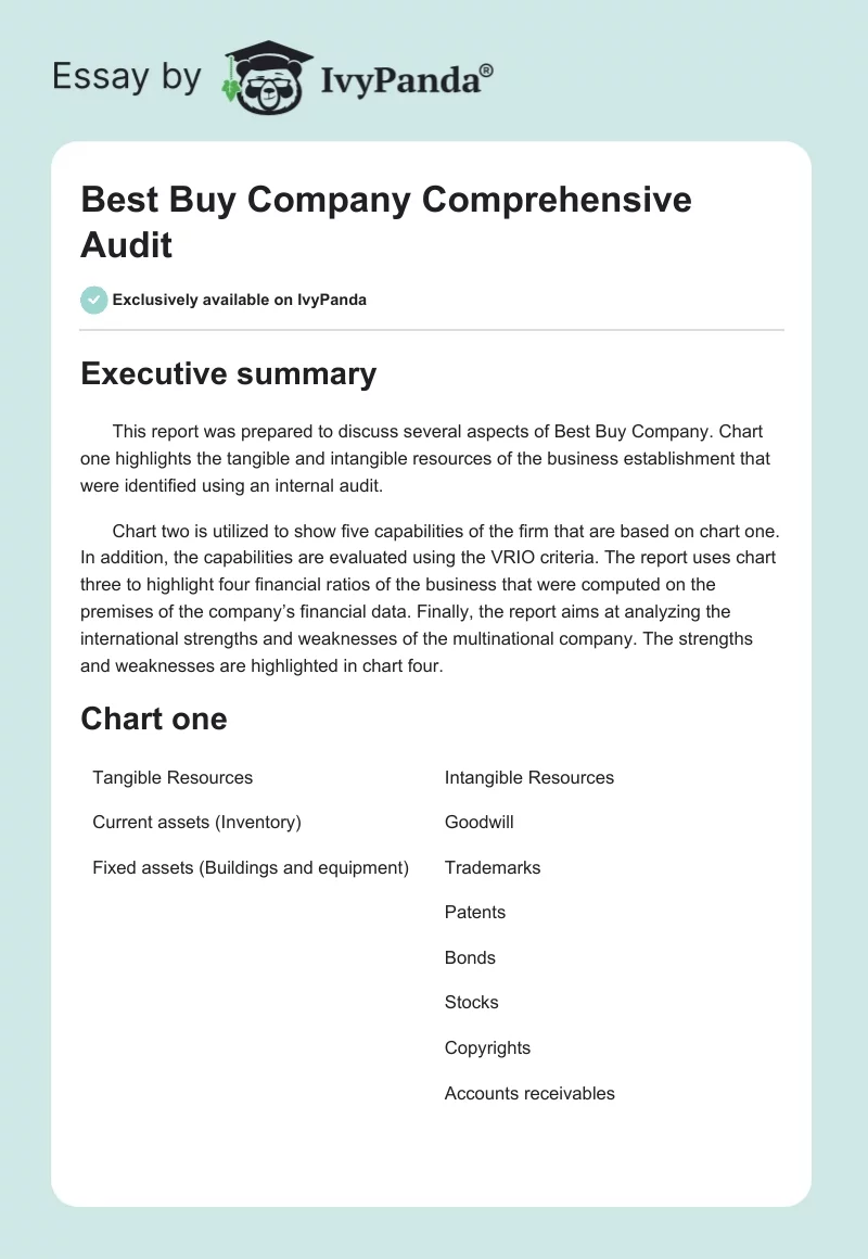 Best Buy Company Comprehensive Audit. Page 1