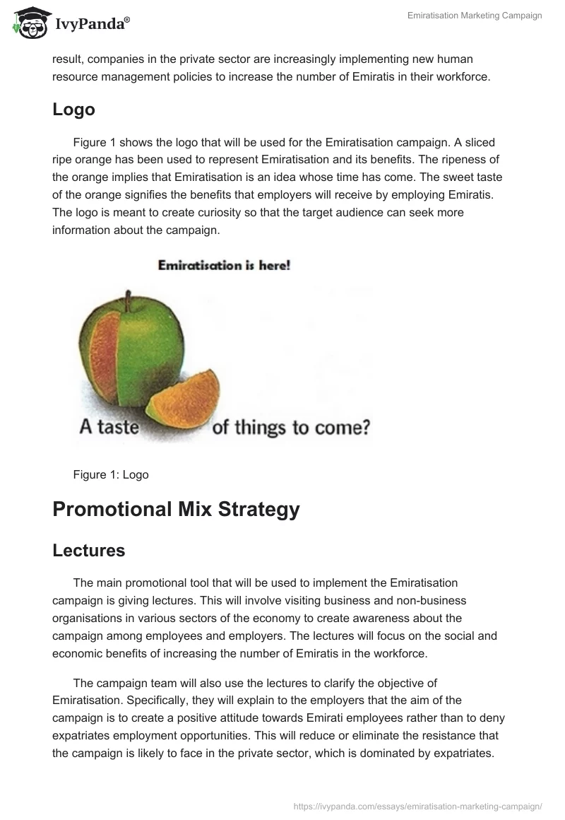 Emiratisation Marketing Campaign. Page 2