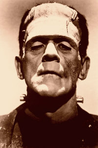 Frankenstein’s characters: the Monster.